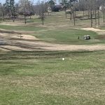 green grass with the flag in the hole.