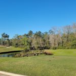 Panoramic view of a lush green golf course at Magnolia Grove Golf Course. Smooth