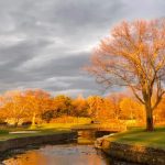 Panoramic view of a lush green golf course at Maplewood Country Club. Smooth