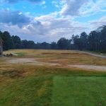 green grass with the flag in the hole.