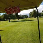 green grass with the flag in the hole.