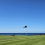 green grass with the flag in the hole.