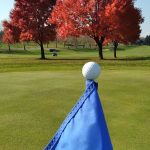green grass with the flag in the hole.