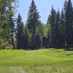 green grass with the flag in the hole.