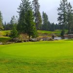 Panoramic view of a lush green golf course at McCormick Woods Golf Club. Smooth