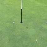 green grass with the flag in the hole.
