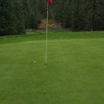 green grass with the flag in the hole.
