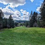 Panoramic view of a lush green golf course at MeadowWood Golf Course. Smooth