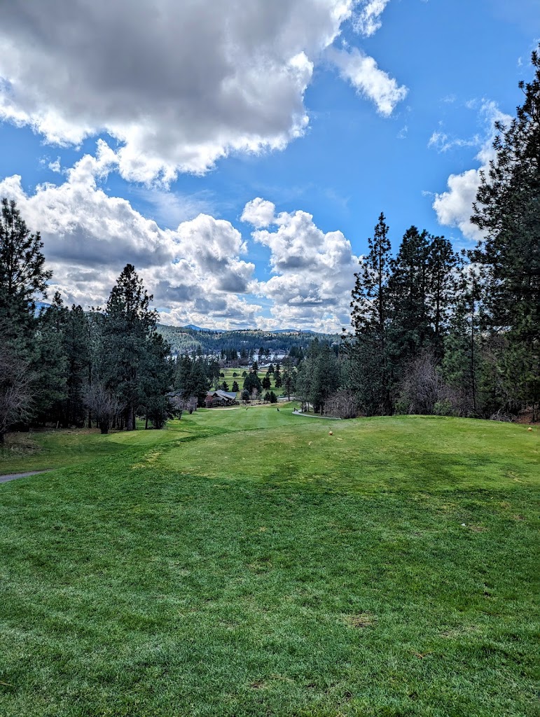 Panoramic view of a lush green golf course at MeadowWood Golf Course. Smooth