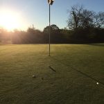 green grass with the flag in the hole.