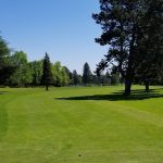Panoramic view of a lush green golf course at Meadowlawn. Smooth