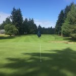 green grass with the flag in the hole.