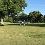 green grass with the flag in the hole.