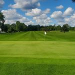 green grass with the flag in the hole.