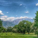 Panoramic view of a lush green golf course at Mick Riley Golf Course. Smooth