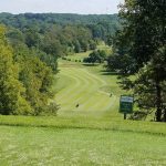 green grass with the flag in the hole.