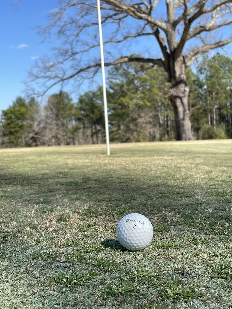 green grass with the flag in the hole.