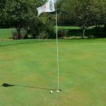 green grass with the flag in the hole.