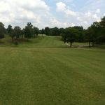 green grass with the flag in the hole.