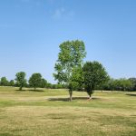 Panoramic view of a lush green golf course at Miller Memorial Golf Course. Smooth