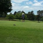 green grass with the flag in the hole.