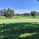 Panoramic view of a lush green golf course at Minnehaha Country Club. Smooth