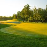 green grass with the flag in the hole.