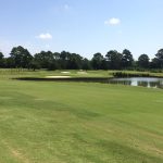 green grass with the flag in the hole.