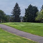 green grass with the flag in the hole.