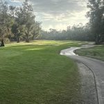 green grass with the flag in the hole.