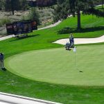 green grass with the flag in the hole.
