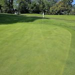 green grass with the flag in the hole.