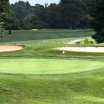 green grass with the flag in the hole.