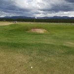 green grass with the flag in the hole.