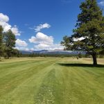 Panoramic view of a lush green golf course at Mt. Massive Golf Course. Smooth
