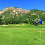 green grass with the flag in the hole.