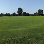 green grass with the flag in the hole.