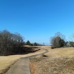 green grass with the flag in the hole.