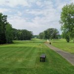 green grass with the flag in the hole.