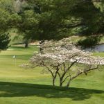Panoramic view of a lush green golf course at Needwood Golf Course. Smooth