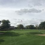 green grass with the flag in the hole.