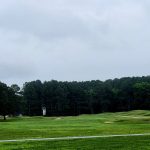 green grass with the flag in the hole.