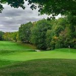 green grass with the flag in the hole.