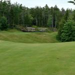 green grass with the flag in the hole.