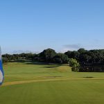 green grass with the flag in the hole.