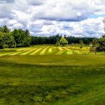 green grass with the flag in the hole.