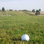green grass with the flag in the hole.