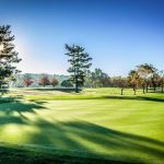 green grass with the flag in the hole.