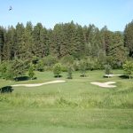 green grass with the flag in the hole.