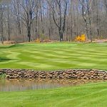 green grass with the flag in the hole.